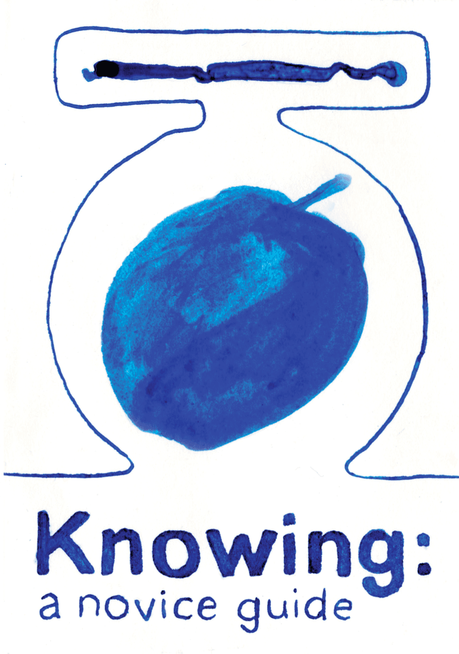 Knowing: A Novice Guide