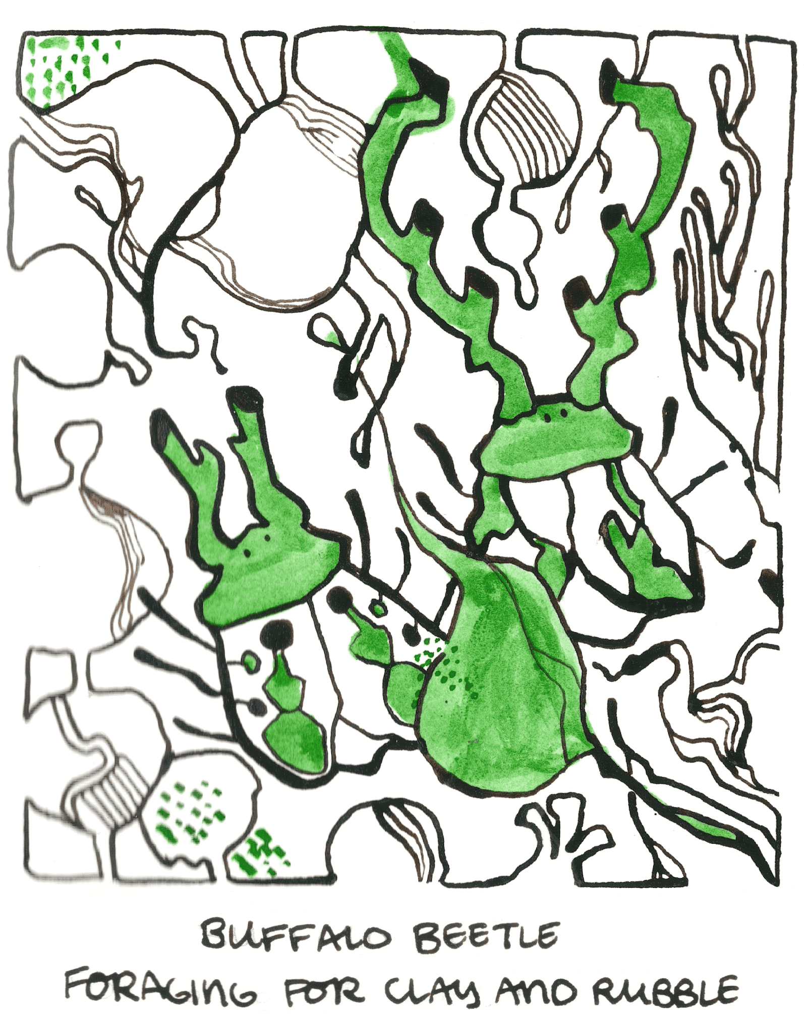 buffalo beetle full.png